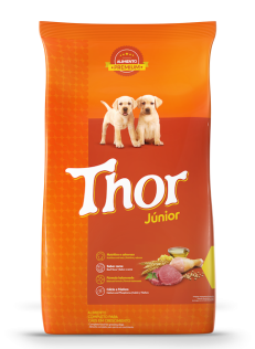 imagem do produto Thor Junior